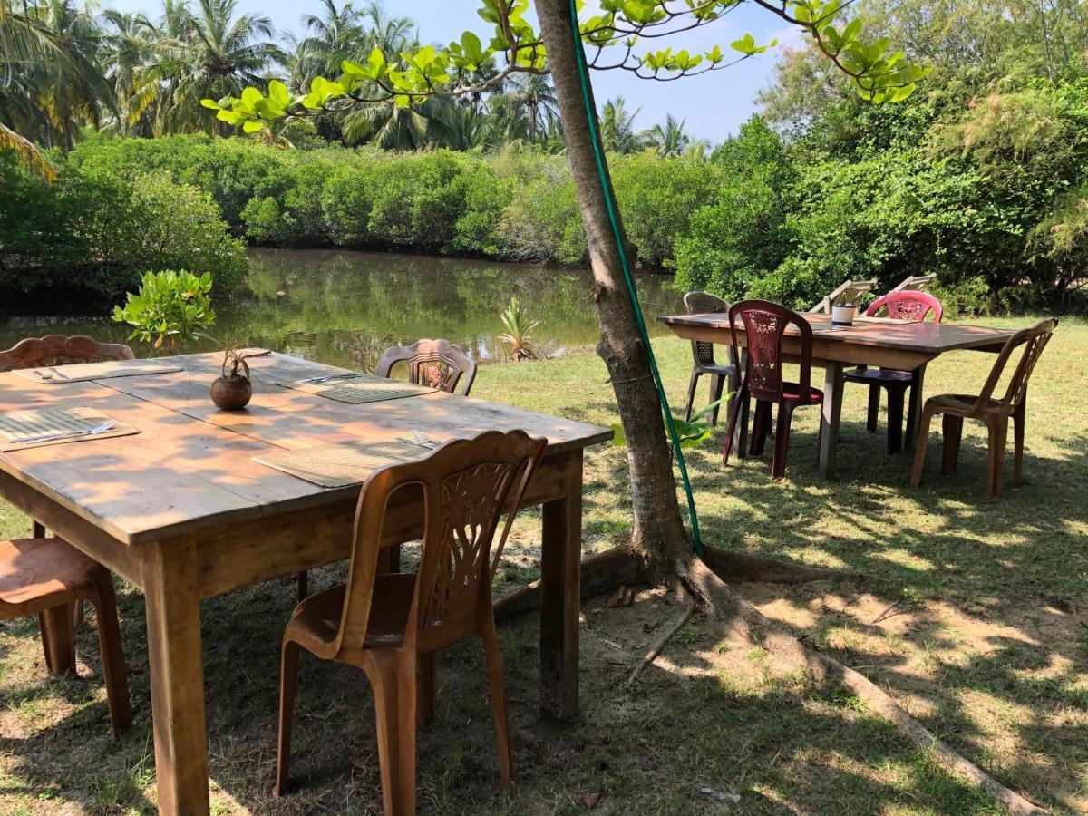 Kite House Cafe Bed & Breakfast Kalpitiya Exterior photo